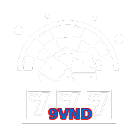 9VND
