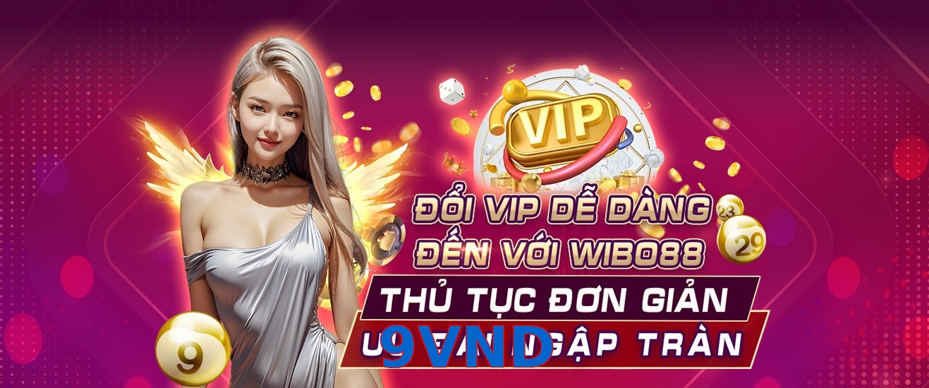 9VND